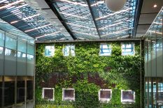 pexels-magda-ehlers-pexels-1188834