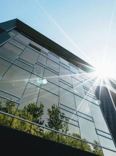 pexels-scottwebb-305833